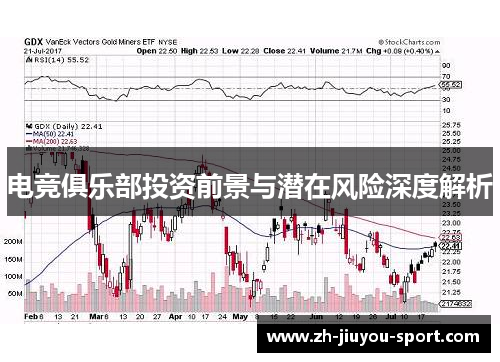电竞俱乐部投资前景与潜在风险深度解析 电竞俱乐部投资前景与潜在风险深度解析