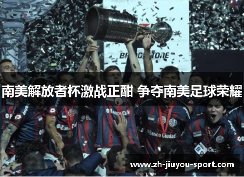 南美解放者杯激战正酣 争夺南美足球荣耀
